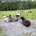 Profile Picture of Lars Ericsson (@lars4658) on Instagram