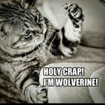 Profile Picture of adam (@adamsellick2.0) on Instagram