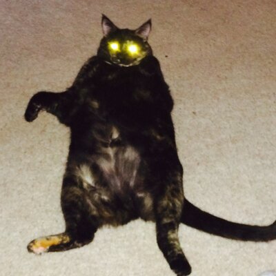 Profile Picture of Michael Reams (@mareams) on Twitter