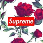 Profile Picture of Mario Zelaya (@saidai_fear) on Instagram