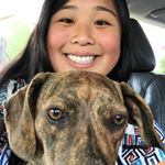 Profile Picture of Stephanie Chou (@stephanakachou) on Instagram