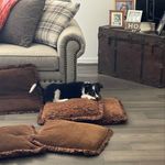 Profile Picture of Brian Summerhill (@bsummerhb) on Instagram