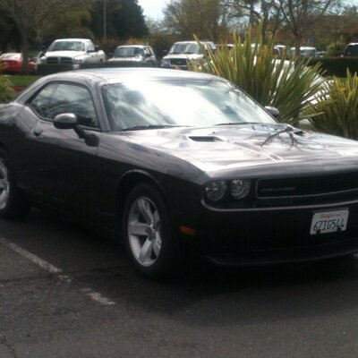 Profile Picture of Brian Ferns (@BarneyFerns) on Twitter