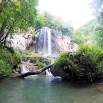 Dovid Greenberger - Instagram Profile Picture of Dovid Greenberger (@dovidgreenberger) on Instagram