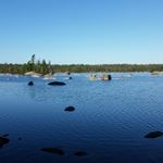 Profile Picture of scottmacmullen_78 (@scottmacmullen_78) on Instagram