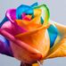 Profile Picture of David Dasher (@david.dasher.75) on Facebook