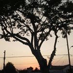 Profile Picture of isaac zepeda (@isaac.zepeda2003) on Instagram