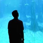 Profile Picture of Andrew Britto (@andrew_britto_) on Instagram