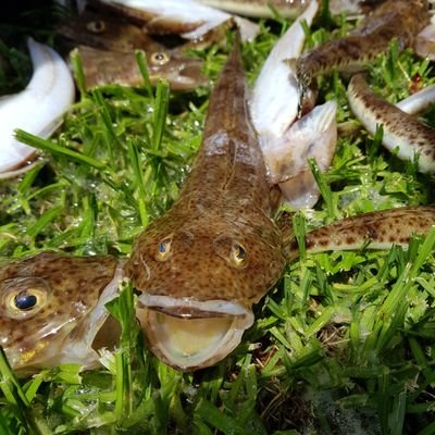 Profile Picture of Nathaniel Bolton (@NathanielBolto6) on Twitter