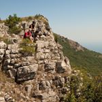 Profile Picture of Tibshirani (@tibshiranigil) on Instagram