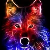 Profile Picture of Thomas Frese (@ThomasFrese1) on Twitter