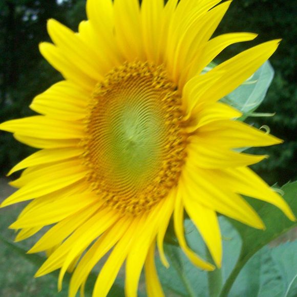 Profile Picture of Rebecca Paul (@reba122657) on Poshmark