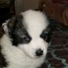 Profile Picture of Terry Call407 (@@terrycall0) on Tiktok