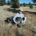 Profile Picture of Janice Cobb (@jkesscobb) on Pinterest
