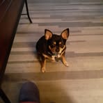 Profile Picture of Cathy Compher (@Cathy-Compher) on Facebook