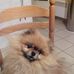Profile Picture of Joseph Becker (@joseph.becker.9406) on Facebook