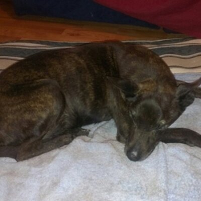 Karl Ericson - Twitter Profile Picture of Karl Ericson (@EricsonKarl) on Twitter