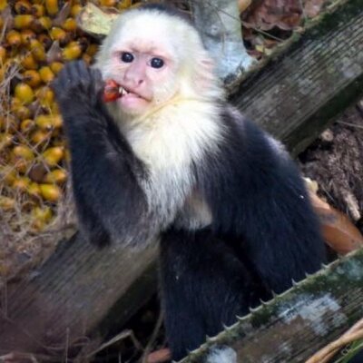 Profile Picture of Dawn Spill Maloney (@SpillDawn) on Twitter
