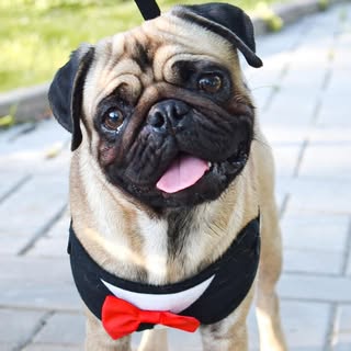 Profile Picture of N A P O L E O N (@napoleonc_) on Instagram