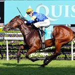 Profile Picture of Joseph Kirley (@the.joekir) on Instagram