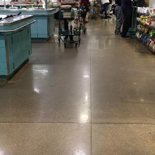 Profile Picture of Gary Poppins (@gary.pugsnotdrugs) on Facebook