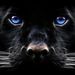 Profile Picture of Bobbi25 (@charise2) on Pinterest