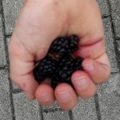 Profile Picture of Luis Yera (@yeraluis) on Twitter