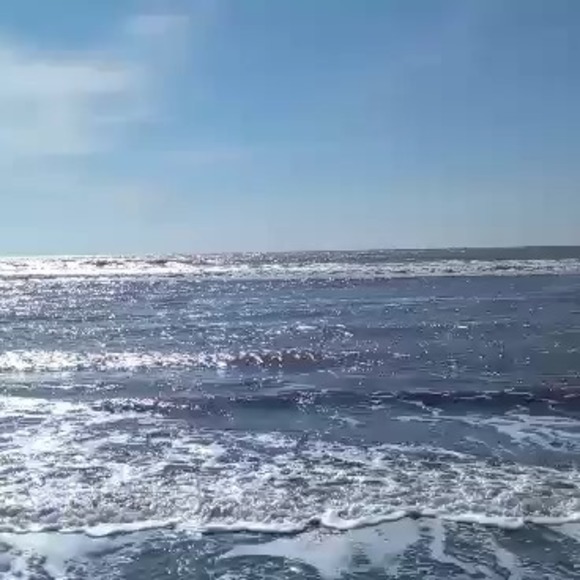 Profile Picture of Mariana Ayala (@marianaayala766) on Poshmark