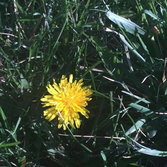 Profile Picture of Julia Black (@qveenjuless) on Poshmark