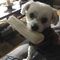Profile Picture of Daniel Breault (@daniel.breault.524) on Facebook