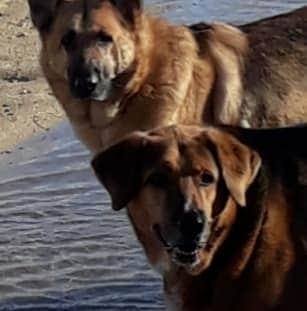 Elaine Earl Wright - Facebook Profile Picture of Elaine Earl Wright (@elaine.e.wright) on Facebook