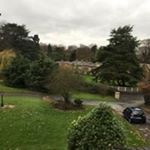 Profile Picture of Steve Metcalf (@metcalf_steve) on Instagram