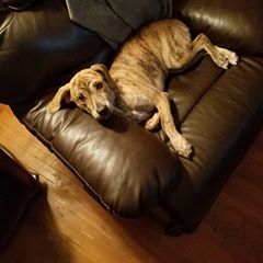 Profile Picture of James Cecil (@jamescecil6) on Tiktok