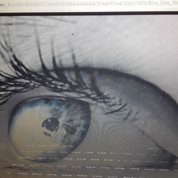 Profile Picture of James Chalifoux (@james_chalifoux) on Poshmark