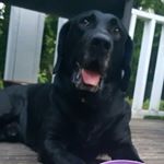 Profile Picture of Mike Chastain (@chastainmike) on Instagram