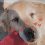 Profile Picture of Jennifer Choi (@jennifeerchoii) on Instagram