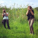 David Reynolds - Instagram Profile Picture of David Reynolds (@shabbyloveenergy) on Instagram