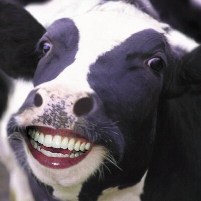 Profile Picture of Dan Cochran (@IamDanCochran) on Twitter