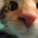 Sphinx Ixi - Facebook Profile Picture of Sphinx Ixi (@arnel.panabe.2024) on Facebook