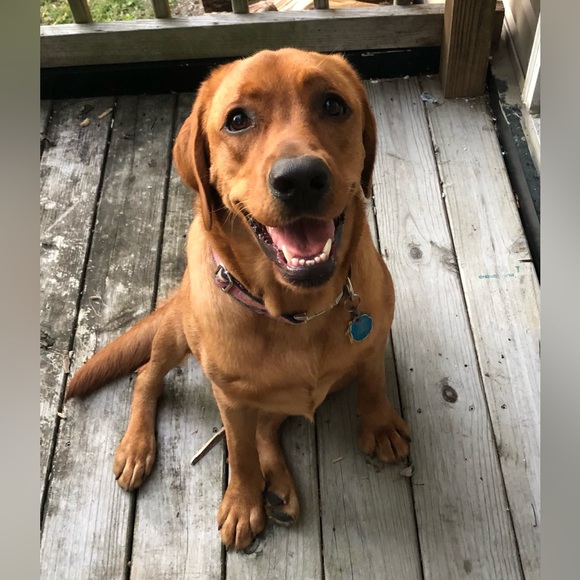 Profile Picture of Brandy Wickham (@wickham2) on Poshmark