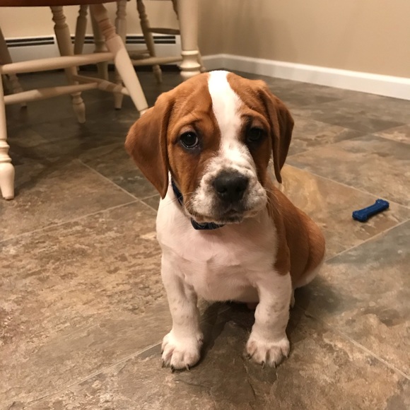 Profile Picture of Kim Armogida (@kimarmogida) on Poshmark