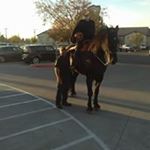 Luis Mendiola - Instagram Profile Picture of Luis Mendiola (@luis.mendiola.58173) on Instagram