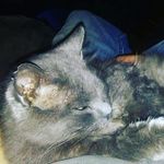 Profile Picture of Mikaha.shugart07 (@mikaha.shugart) on Instagram