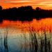 Profile Picture of ROBERT SERGENT (@bsergent3212) on Pinterest