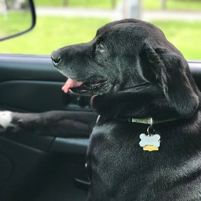 Profile Picture of Daniel Lahey (@daniel_lahey) on Twitter