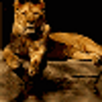 Edgar Kramer - Twitter Profile Picture of Edgar Kramer (@estefan3b) on Twitter