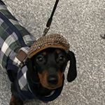 Profile Picture of 𝓐𝓵𝓮𝔁 𝓭𝓪𝔀𝓮𝓼 (@alexdawes69) on Instagram