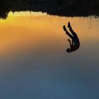 Profile Picture of   Kevin Oliva (@kevinoliva7)... (@kevinoliva7) on Tiktok