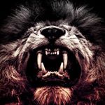 Profile Picture of Jason Taliaferro (@jrtaliaferro) on Instagram