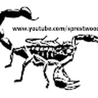 Profile Picture of Scott Prestwood (@scott-prestwood-1) on Quora